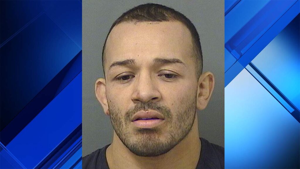 UFC fighter
