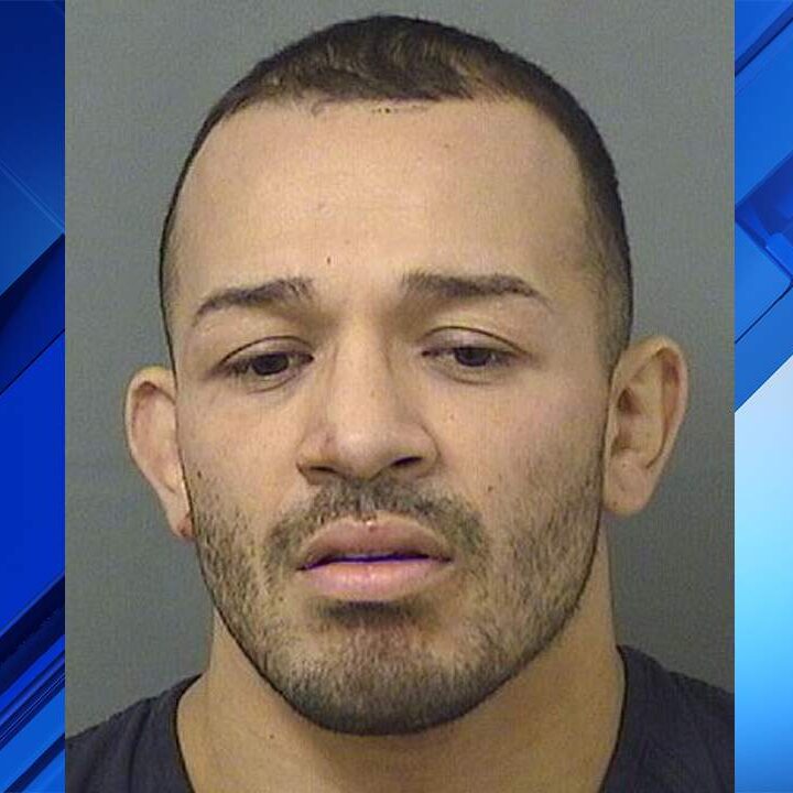 UFC fighter