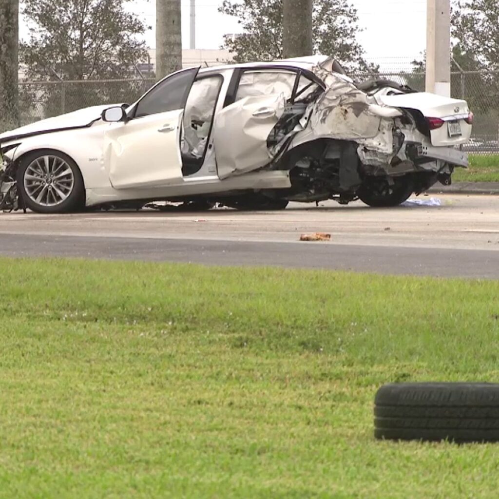 driver crashes into palm tree