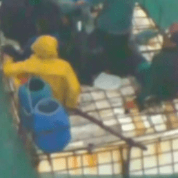 Florida-bound Cuban pregnant women rescued