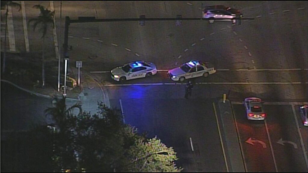 striking woman with vehicle in Plantation