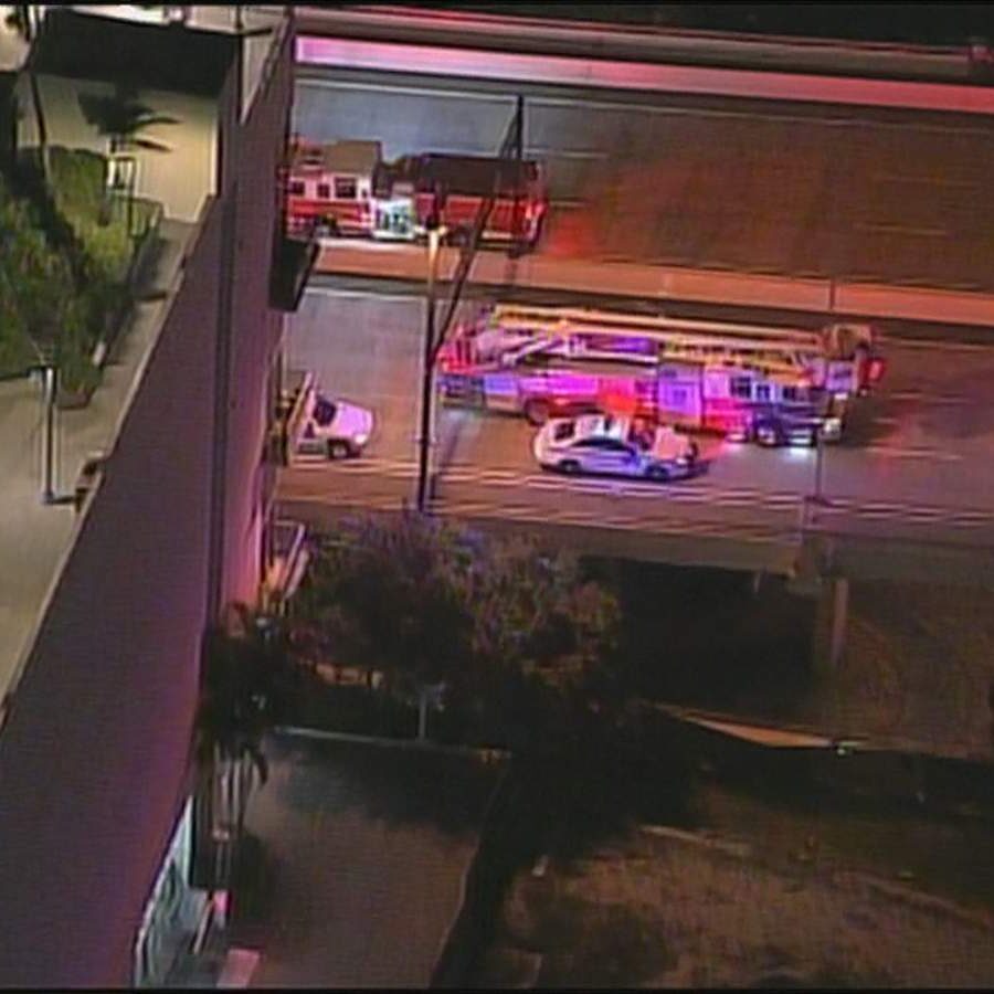 Man dies after falling off South Miami Bridge