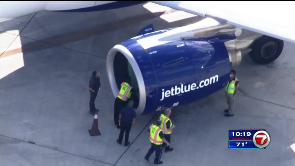 Bird strike forces JetBlue flight to Peru to return to Fort Lauderdale airport