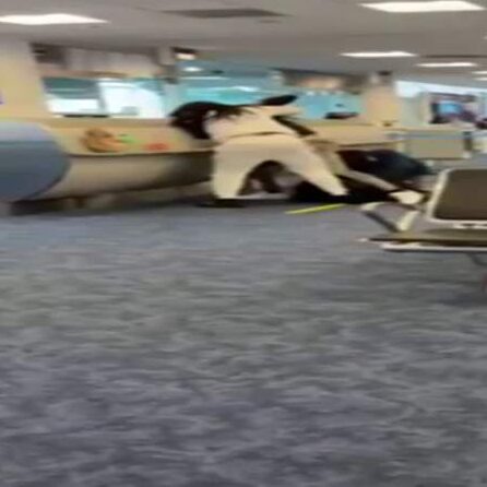 Caught on camera: Fist fights break out at Miami International Airport, Gate D14