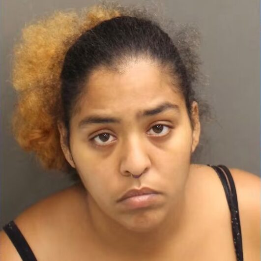 Florida mother faces charges after toddler shot, killed dad – Bugle Miami